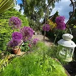 Bed and Breakfast North View Penrith