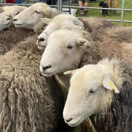 Bed and Breakfast North View *