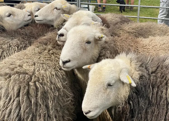 Bed and breakfast North View *